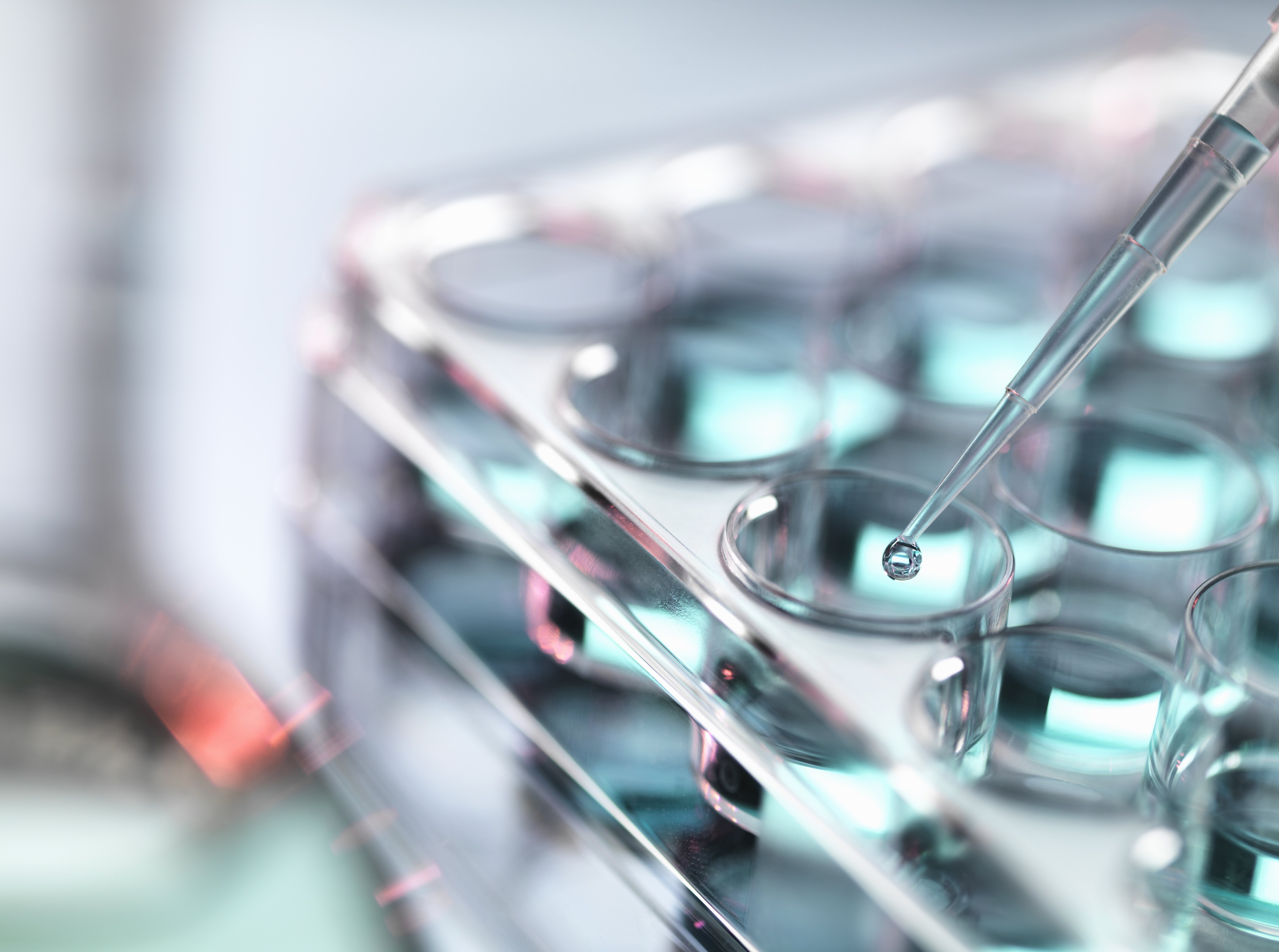 Application of Risk Management to Medical Devices